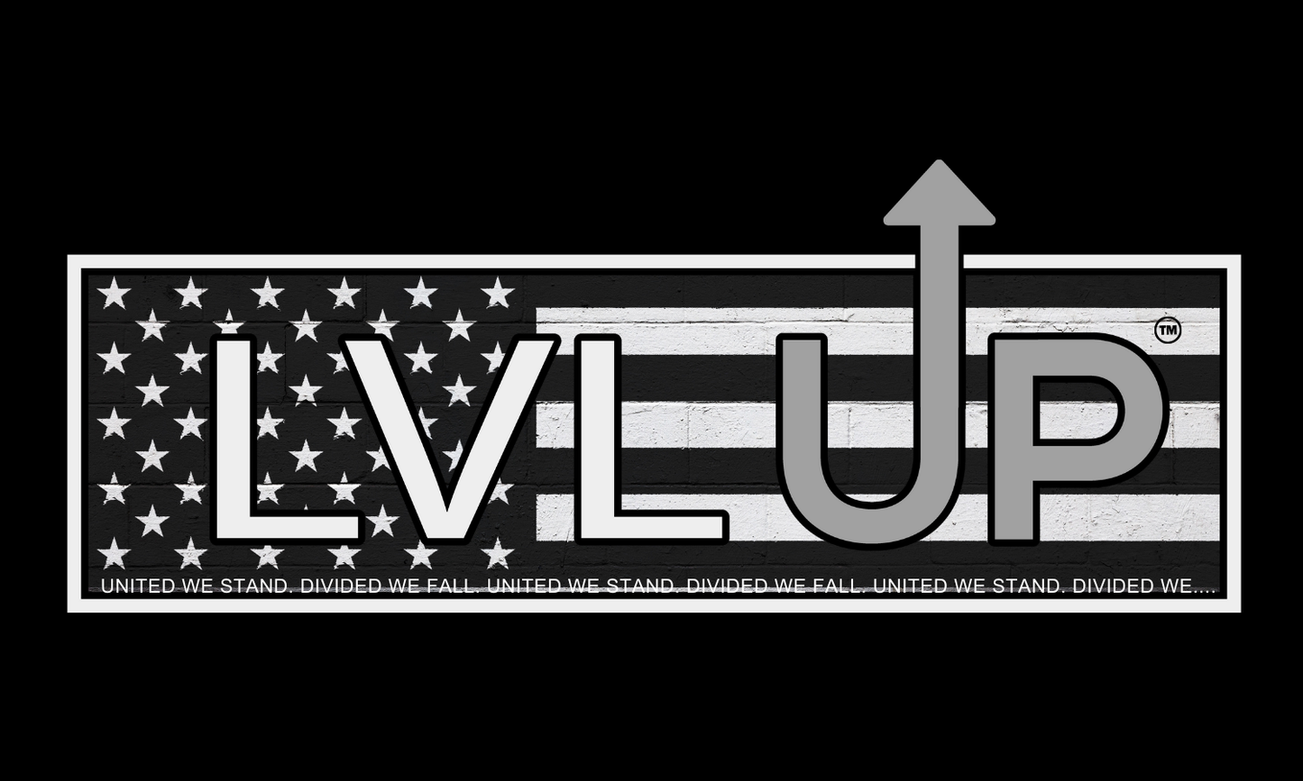 LVLUP - UNITED WE STAND - Mineral Wash - Carbon - 100% Cotton - Made In U.S.A.